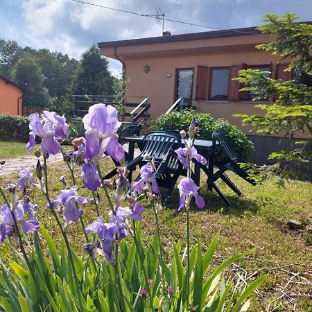 Chalet Grazia Valgiano Zewnętrze zdjęcie