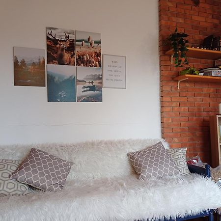 Chalet Grazia Valgiano Zewnętrze zdjęcie