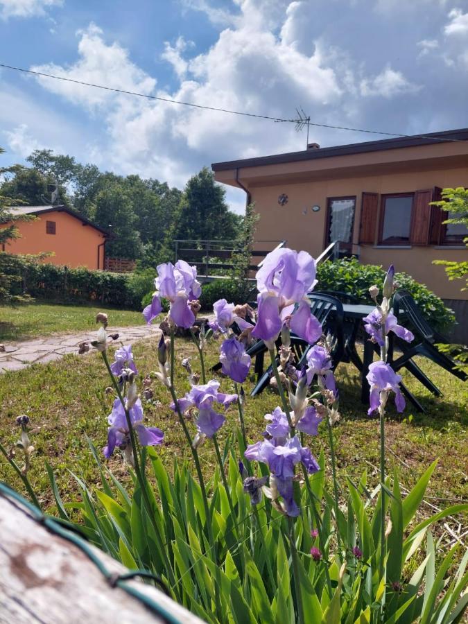 Chalet Grazia Valgiano Zewnętrze zdjęcie