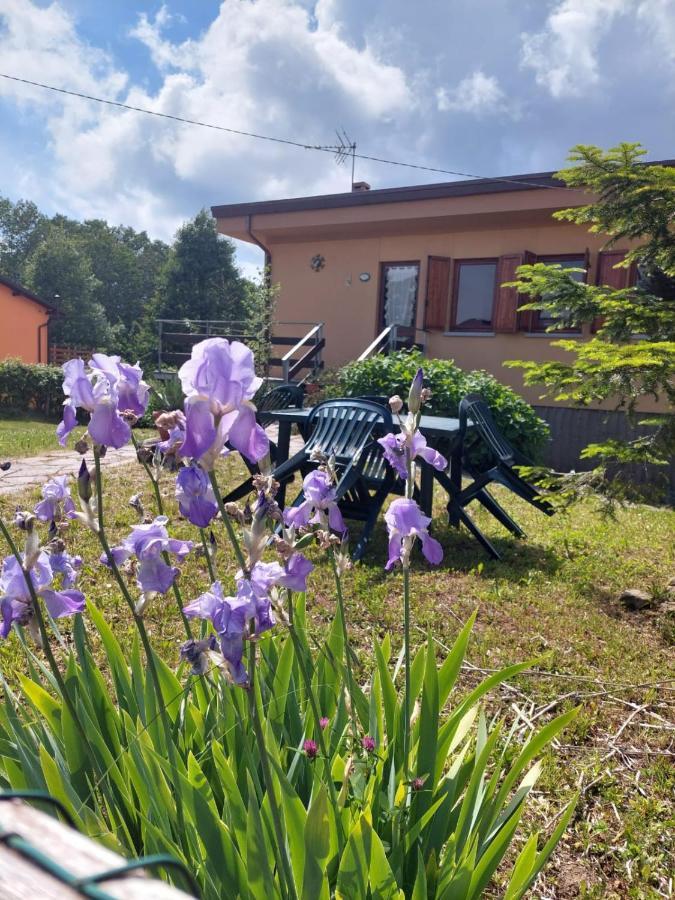 Chalet Grazia Valgiano Zewnętrze zdjęcie