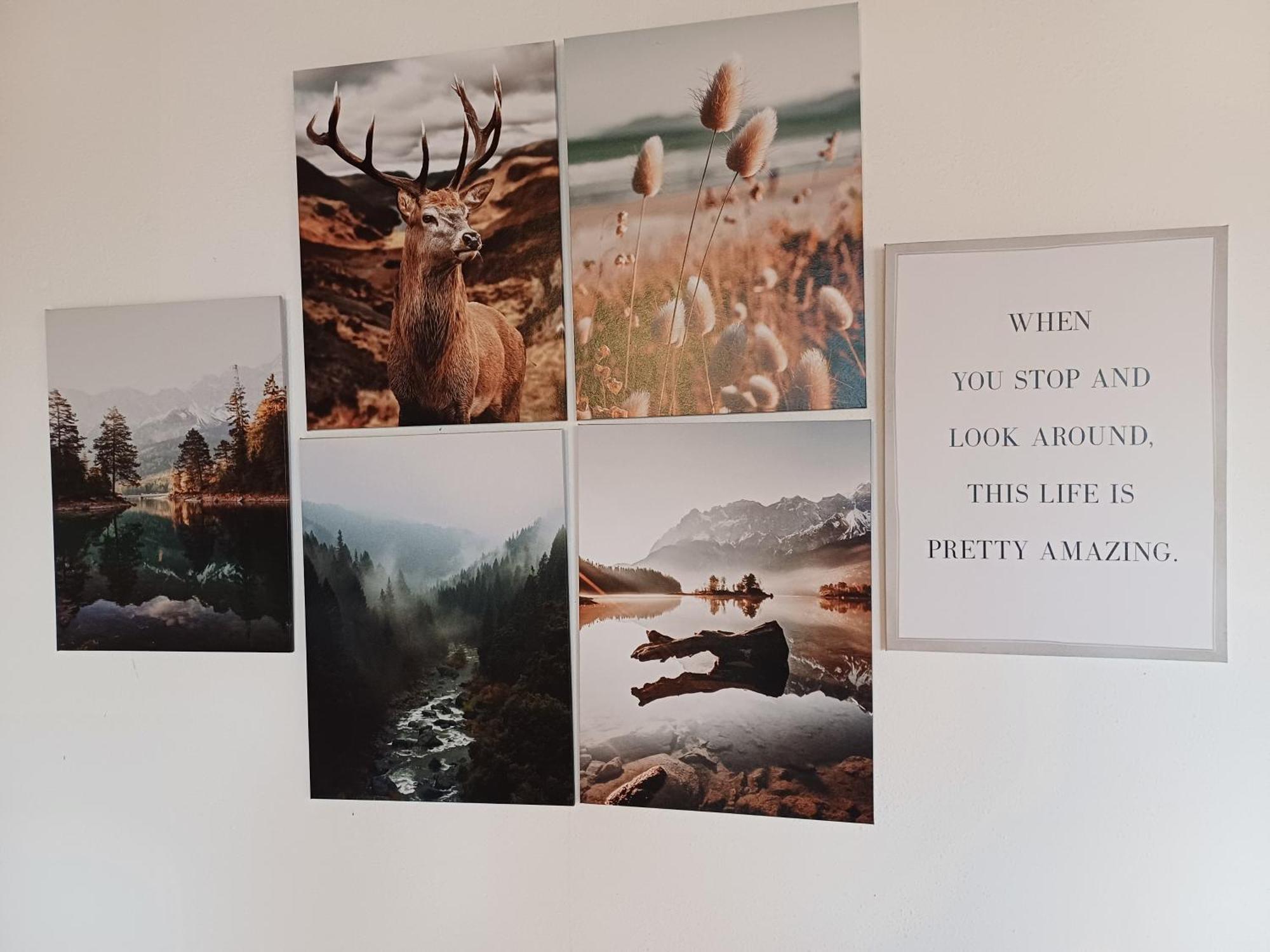 Chalet Grazia Valgiano Zewnętrze zdjęcie